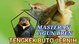 🔴 MASTERAN CIGUN bren TENGKEK BUTO