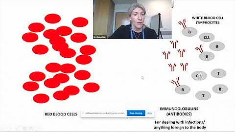 CLL and autoimmune problems with Dr. Helen Marr - ...
