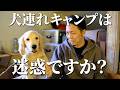 犬連れキャンパーは迷惑ですか?ワンキャンについて聞いてみた。【ゴールデンレトリバーパピー】【北海道キャンプ】