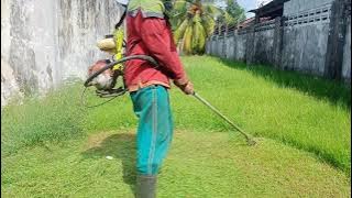 TESTING MESIN POTONG RUMPUT 42CC//powerful 42cc lawn mower