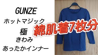 4,180円 暖かいインナー GUNZEグンゼ 極を購入しました