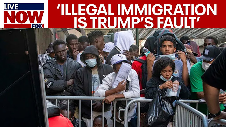 Expert blames migrant crisis on Donald Trump ahead of ICE Raids