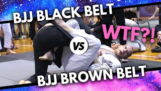 Bjj Black Belt Vs Bjj Brown Belt | Nate Fenton Vs Zach Snyder