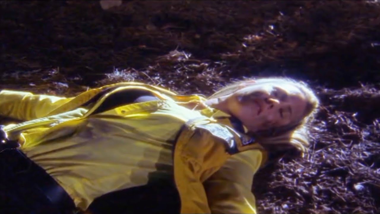 Taylor Yellow Ranger Power Rangers Wild Force