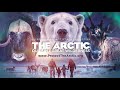 The Arctic: Our Last Great Wilderness | Official Trailer