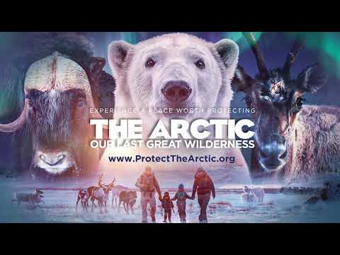 The Arctic: Our Last Great Wilderness | Official Trailer