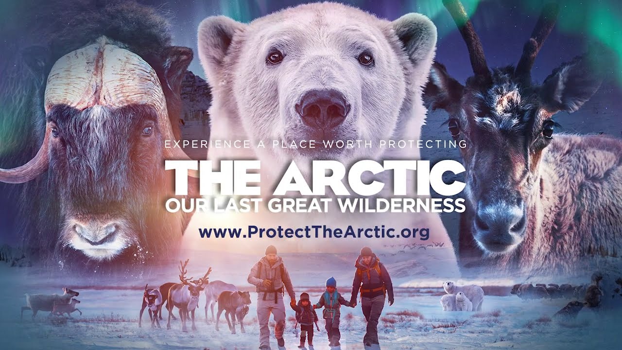 The Arctic Our Last Great Wilderness Official Trailer YouTube