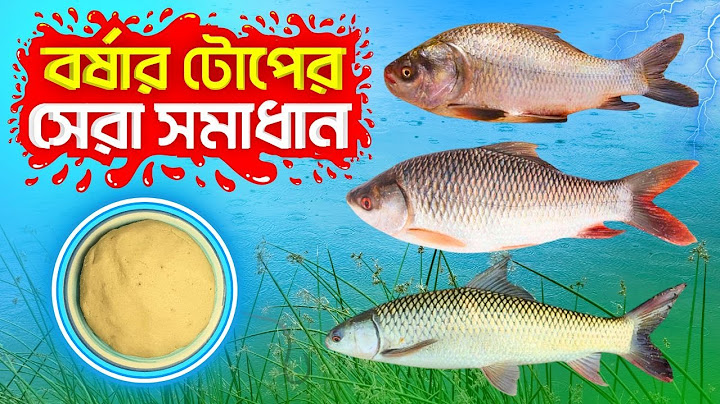 এই বর্ষায় মাছ না ধরলে ১০০% সফল এই টোপ এখনি ব্যবহার করুন 🎣🔥 ।  Monsoon Special Rui Katla Mrigel Bait
