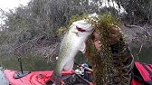 Mendota Slough H Pond Palm Nees Popular Fishing Spots In Fresno Ca Youtube