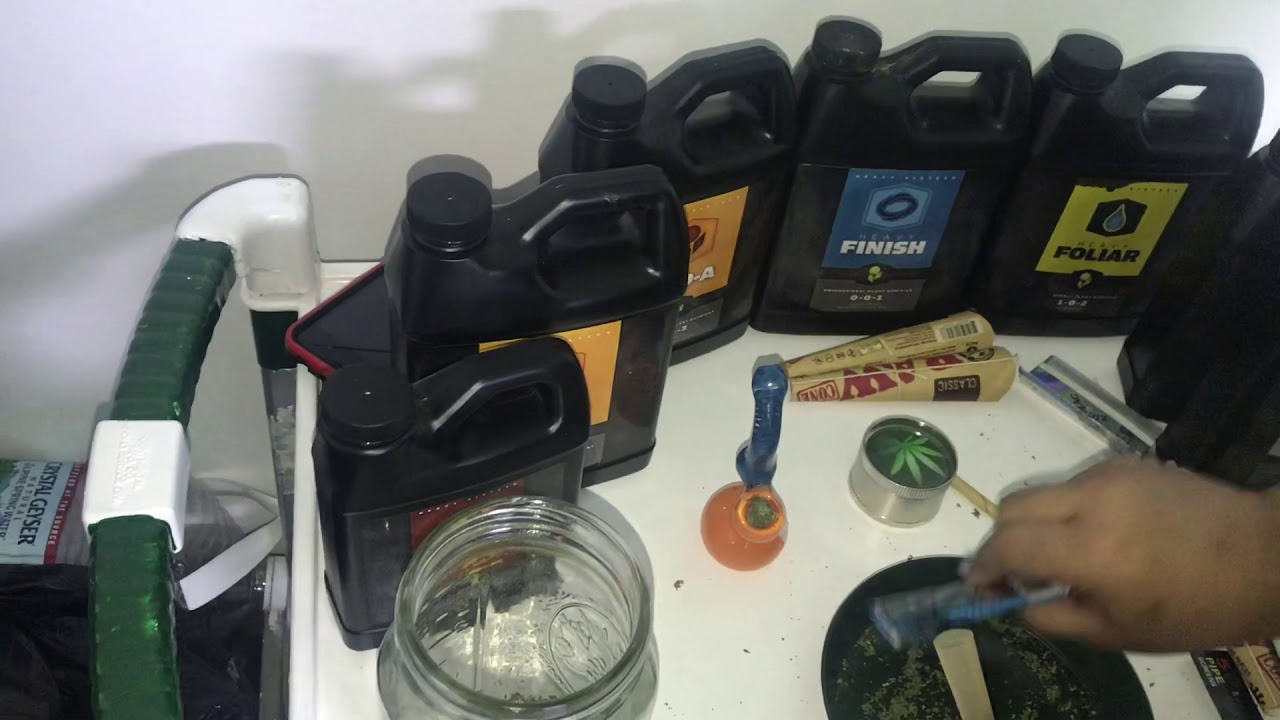 Smoking 101: How To Stuff A Cone