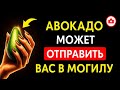 10 фатальных ошибок с авокадо, которые могут стоить вам жизни или привести к тяжёлым заболеваниям