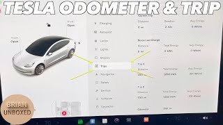 How To View The Odometer & Trip On A Tesla screenshot 5