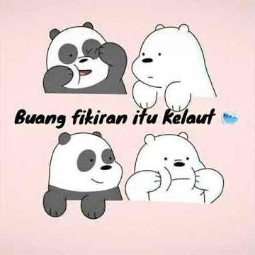 Story wa lucu..#panda