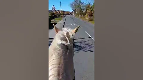 9cf4b5ee d930 43d0 ae17 c9a6f2099e37