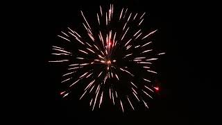 Lucky 7 Inch Canister Shell Suns Rl-Ss-1216