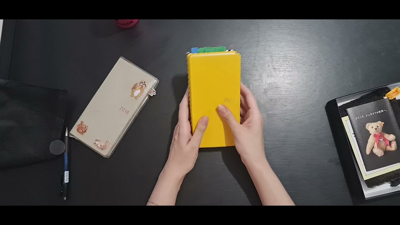 A Evolução do Hobonichi: Minha Coleção Ao Longo dos Anos 📖✨