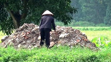 Nét đep tinh khiết của đồng quê vào mùa lúa chín ở thị trấn Tri Tôn, An Giang 17/08/2019