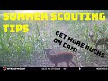 Summer Trail Cam Tips for Deer - Get More Bucks on Cam!