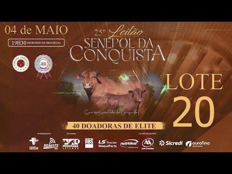 LOTE 20 CONQ 2475