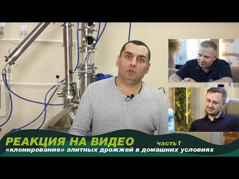 Реакция на видео "Клонирование элитных дрожжей в домашних условиях".Виталий Моторин | Сергей Матвеев