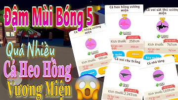 PLAY TOGETHER | TOÀN BỘ CÁ HIẾM NHẤT BÓNG 5 ĐỀU XUẤT HIỆN TẠI ĐÂY | Quí KA