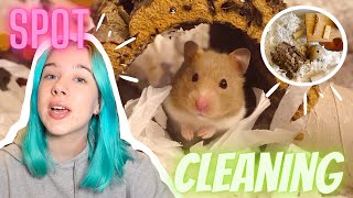 🐹SPOT CLEANING MY HAMSTER DUCKY&#39;S CAGE🐹