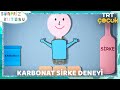 SÜRPRİZ KUTUSU | KARBONAT-SİRKE DENEYİ | TRT ÇOCUK