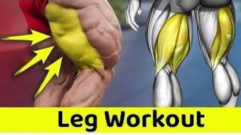 Best Forearm Exercises for Bigger & Stronger Arm