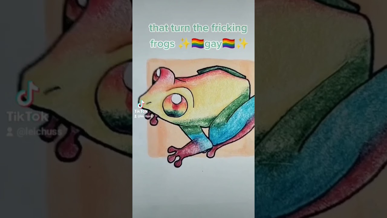 TURN THE FRICKIN' FROGS GAY! (Drawn by me) 
