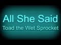 Toad the Wet Sprocket - All She Said