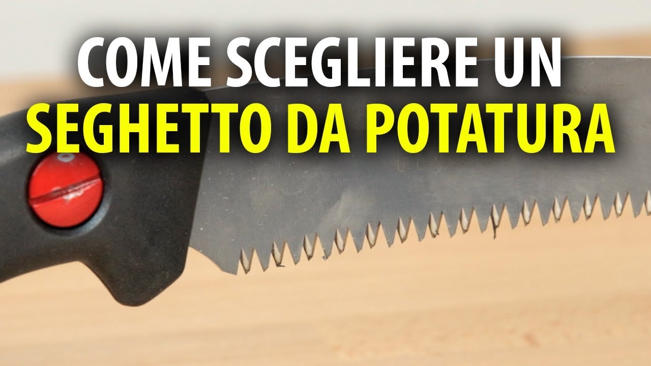 COME SCEGLIERE UN SEGHETTO DA POTATURA 