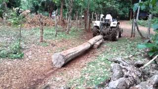 Logging in India