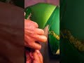 Precision jade cutting revealing hidden beauty within 🪨