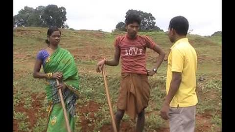 Intercultural Operation in Groundnut_Odia_PRAGATI_Odisha