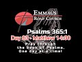 Psalms 365:1 - Day 63 - Matthew 14:30