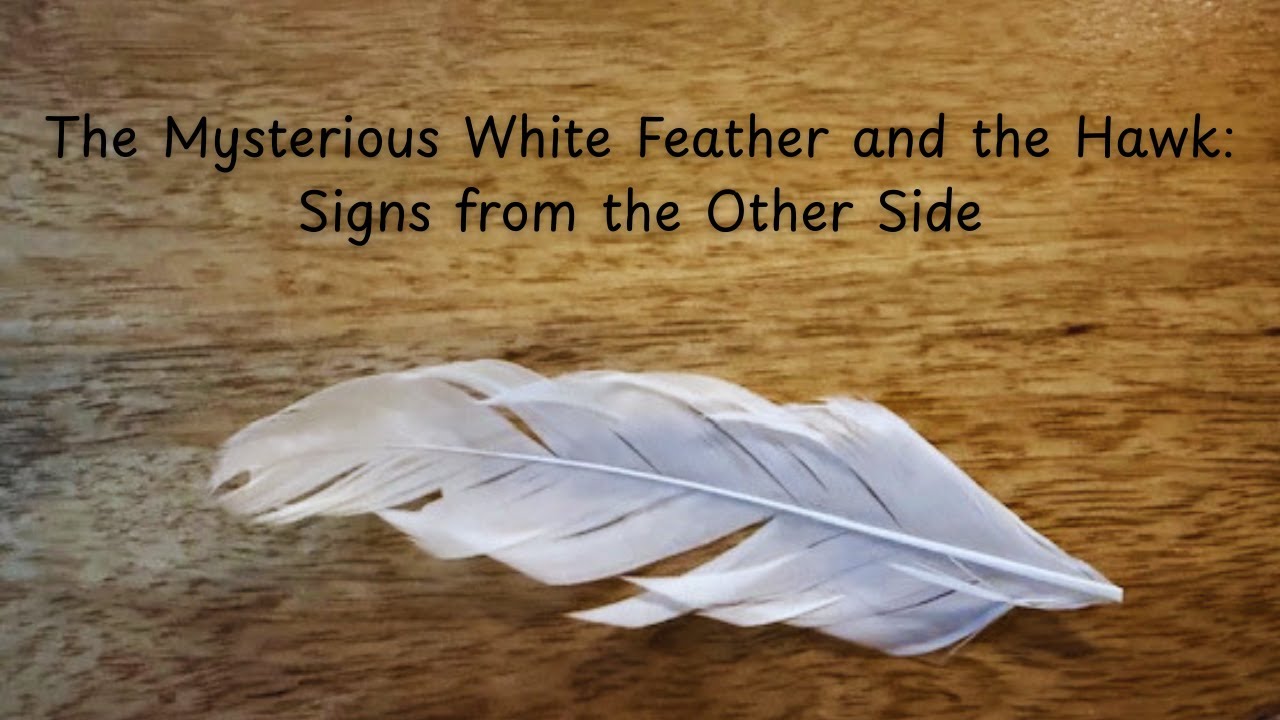 Ep 3.5: The Mysterious White Feather & Hawk — Signs from the Other Side