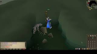 Osrs Waterbirth Island Dagannoth Safespot No Bs