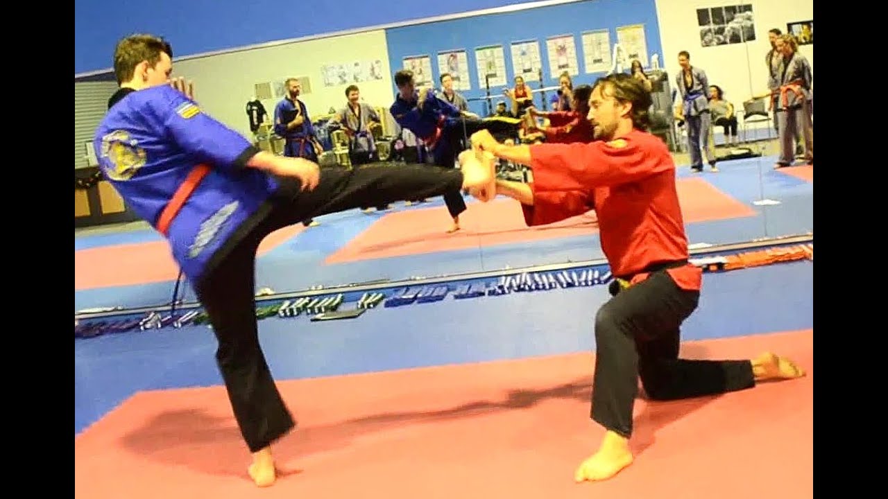 Board Breaking Martial Arts Kick with Side Thrust Kick YouTube