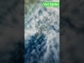 Spiderman #shortvideo #shorts #trending