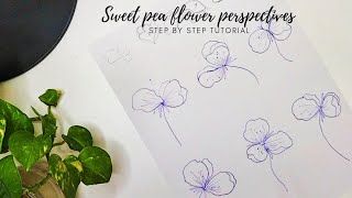 How to draw flowers. How to draw sweet peas flower perspectives. Step by step tutorial.