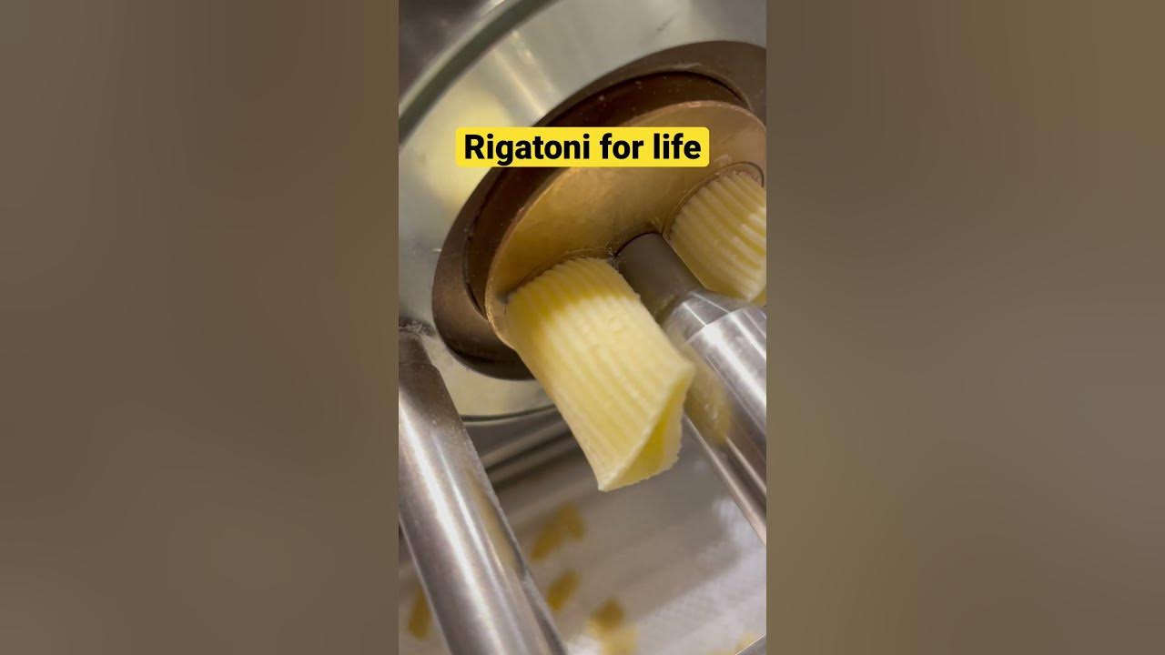 Making fresh pasta rigatoni #food #freshpasta #chef #machine #pasta  #freshpastarecipe #cooking 