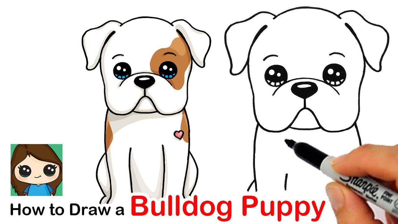 How to Draw an American Bulldog Puppy Easy 🦴❤️ - YouTube