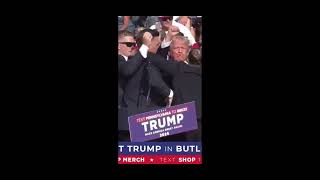 Trump Under Fire During Election Campaign.