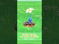 Decor on… joy activated 🎶🌱#Pikmin #PikminBloom