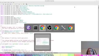 Mini Live Code Review: Spark + K8s Python Support