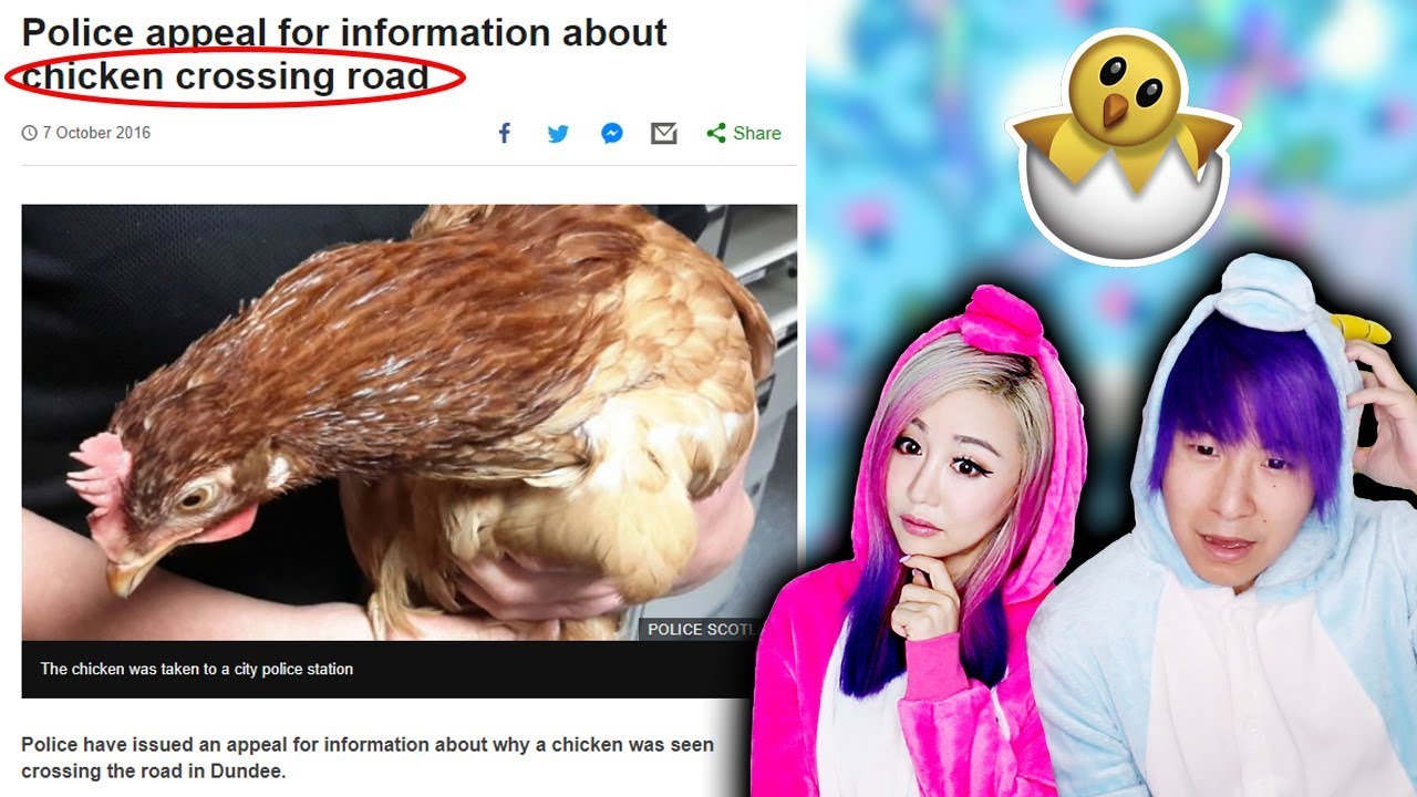 photoscape Real News vs Fake News Challenge!