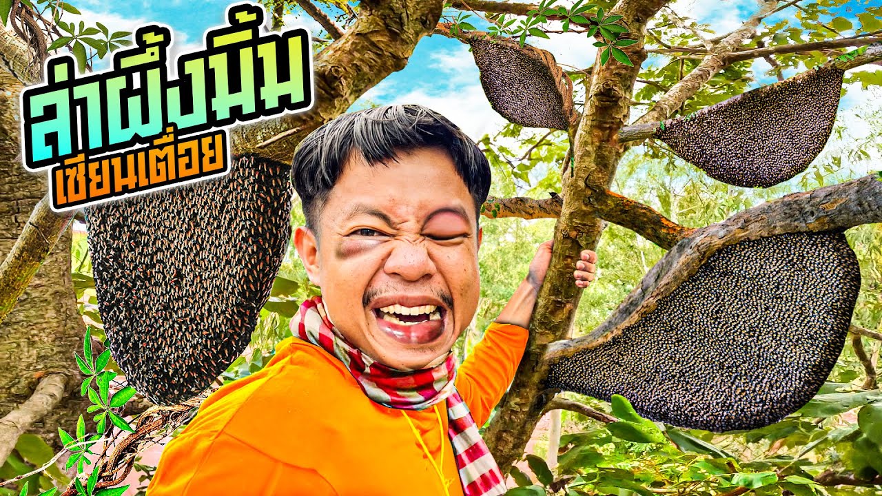 เซียนเตื่อย ล่ามิ้ม 100 รัง