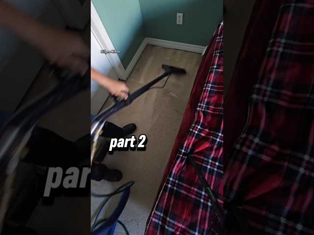 Carpet Cleaning