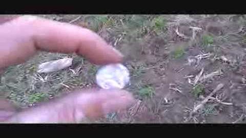 Metal Detecting Virginia with Minelab E-Trac