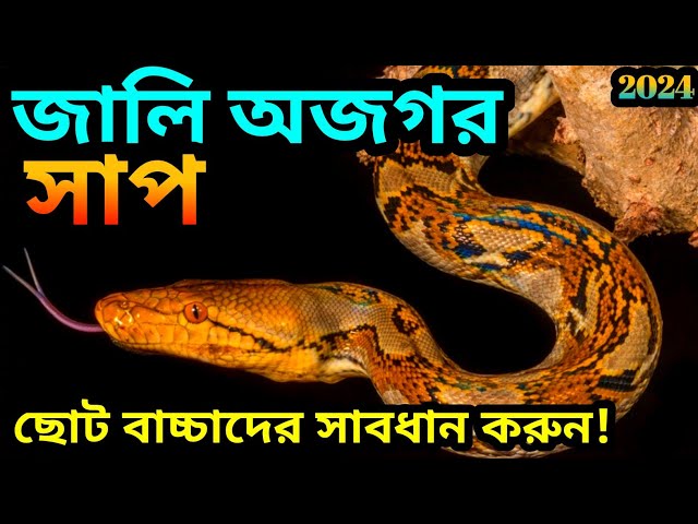 Tver fohisha rasmlar Yoshlar uchun lift jinsiy aloqa